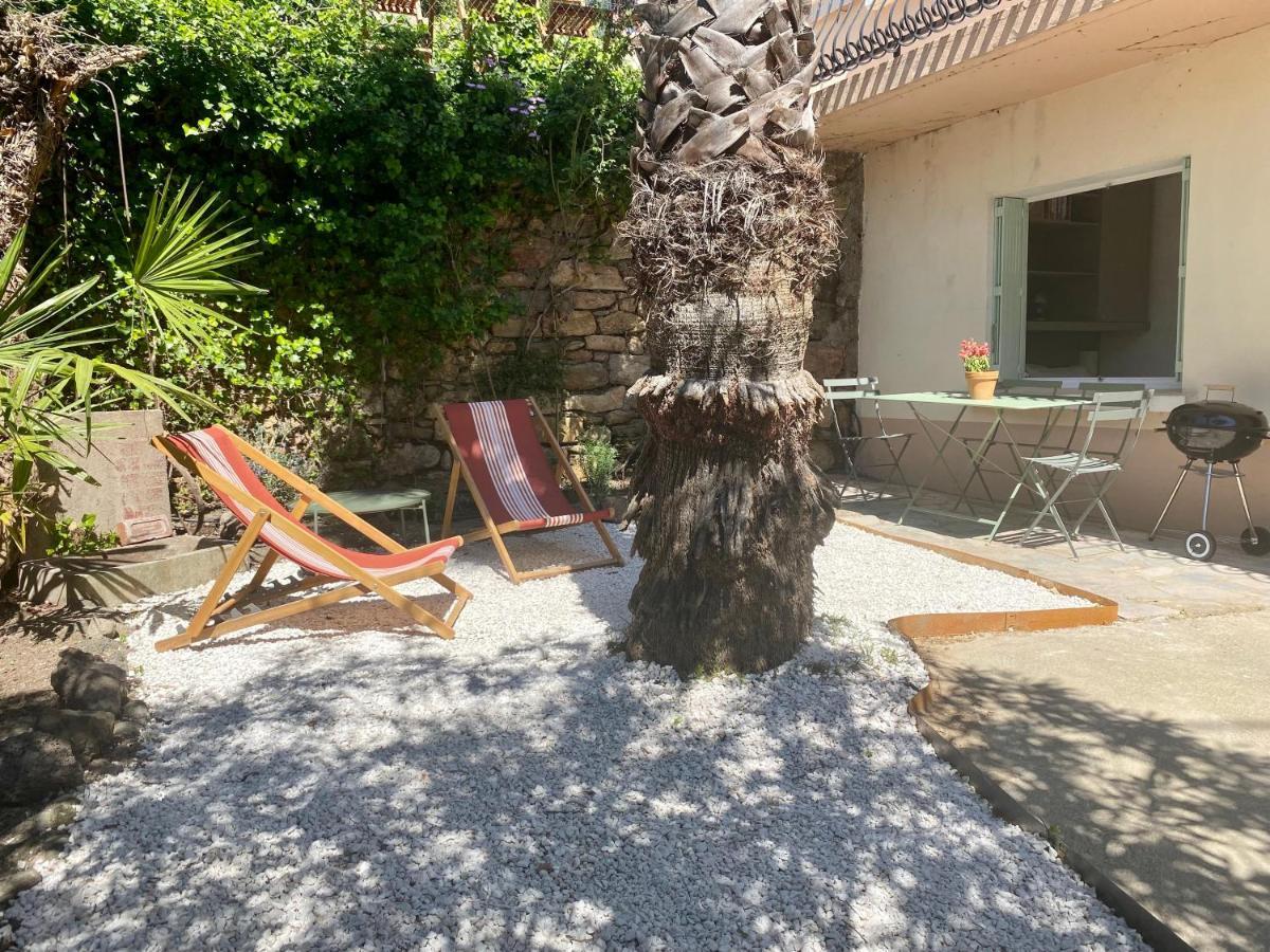 Gîte Le Palmier - Perfectly located cosy studio with private garden Puissalicon Extérieur photo