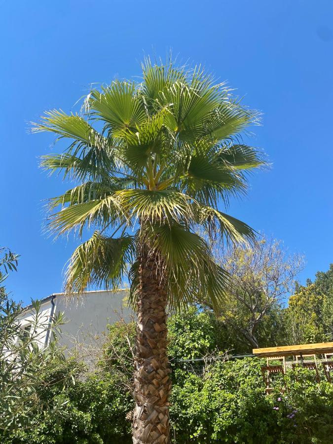 Gîte Le Palmier - Perfectly located cosy studio with private garden Puissalicon Extérieur photo