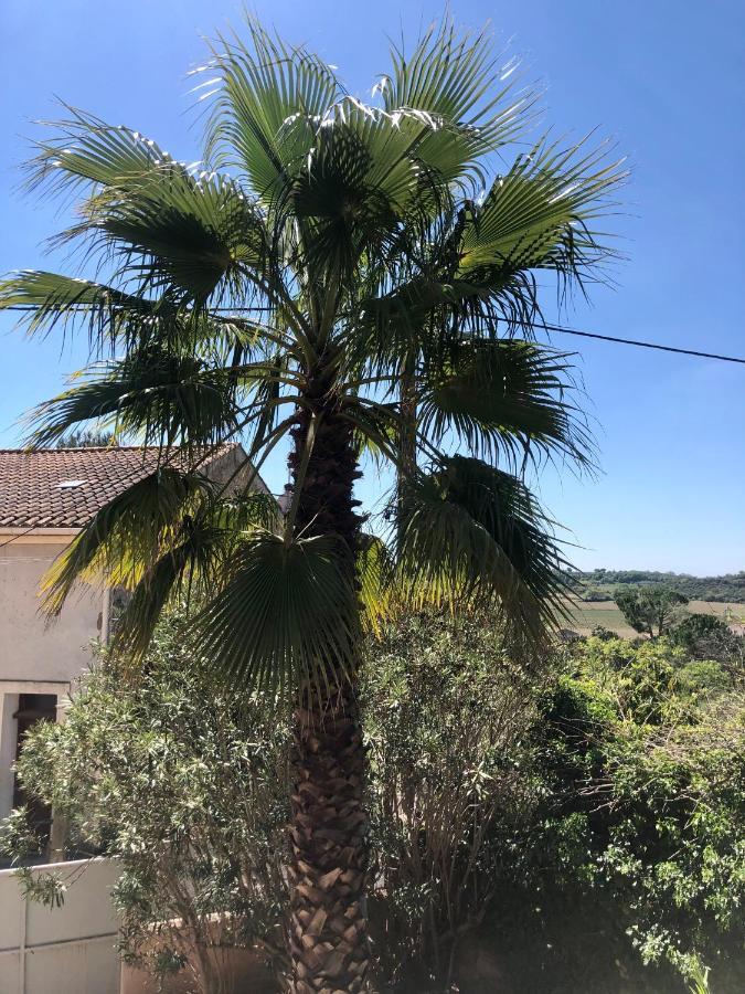 Gîte Le Palmier - Perfectly located cosy studio with private garden Puissalicon Extérieur photo