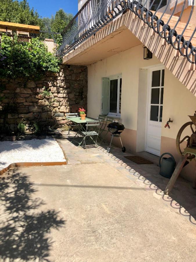 Gîte Le Palmier - Perfectly located cosy studio with private garden Puissalicon Extérieur photo