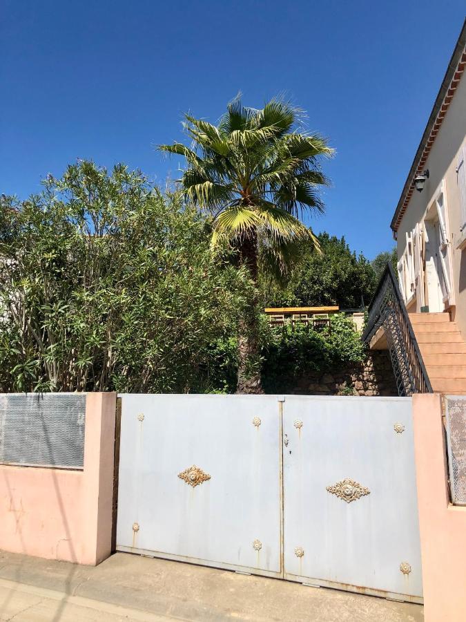 Gîte Le Palmier - Perfectly located cosy studio with private garden Puissalicon Extérieur photo