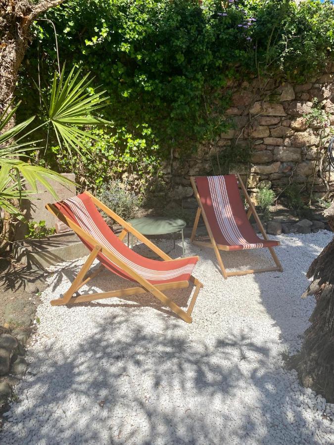 Gîte Le Palmier - Perfectly located cosy studio with private garden Puissalicon Extérieur photo